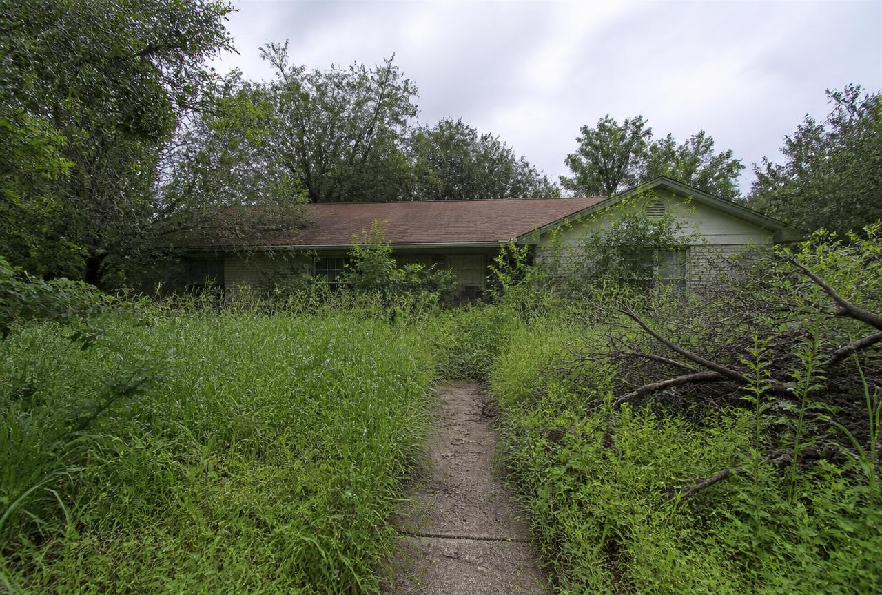 Before a Yard Reboot: a single story Austin brick home almost hidden behind waist high weeds, tangled brush, and fallen branches, with only a narrow cracked walkway visible through the overgrowth.